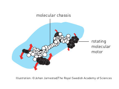 Illustration: ©Johan Jarnestad/The Royal Swedish Academy of Sciences