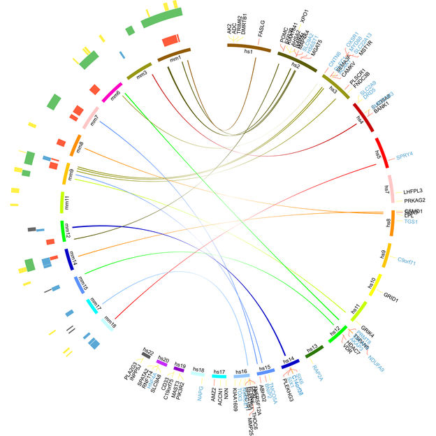 Copyright: Institut für Klinische Molekularbiologie/CAU