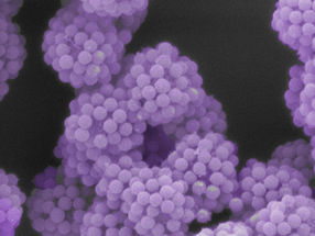 Nanoscale engineering transforms particles into 'LEGO-like' building blocks