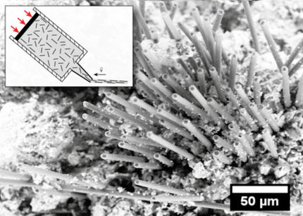 Ein harter Knochen: Carbonbeton