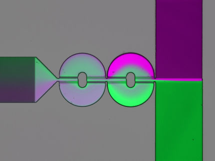 Neuer Chip findet Gifte