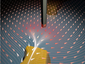 Nanodrähte als Sensoren in neuem Rasterkraftmikroskop