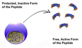 Peptide vs. Superkeime