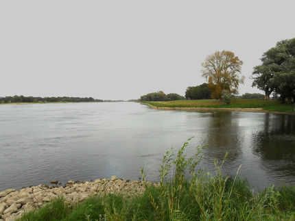Flüsse und Bäche in Niedersachsen mit Arzneimitteln belastet