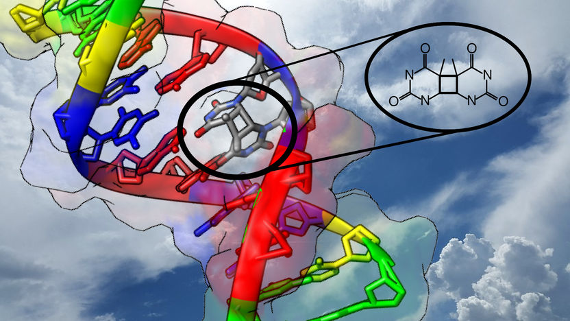 Copyright: Clemens Rauer, Universität Wien