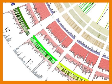 Bisher unbekanntes „Affen-Gen“ im menschlichen Genom entdeckt