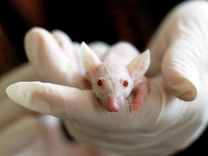 Ausgezeichnet: Der Chip als Alternative zum Tierversuch