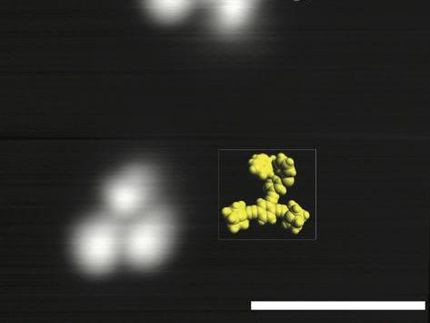 Light drives single-molecule nanoroadsters