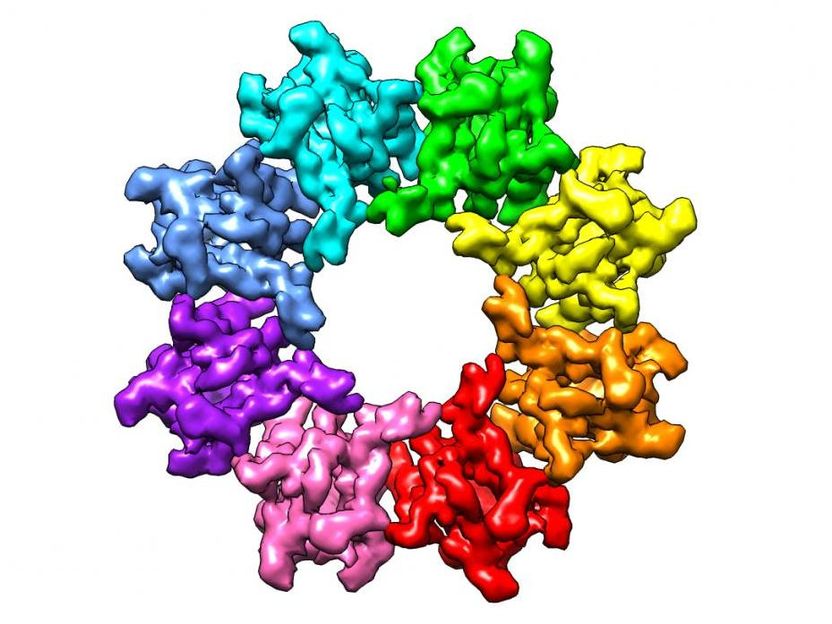 Genetic mutations that lead to macular degeneration blindness mapped by new research