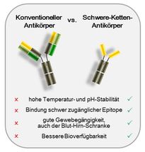 Kamelantikörper: KNAUER und 3B Pharmaceuticals schließen Forschungsprojekt erfolgreich ab