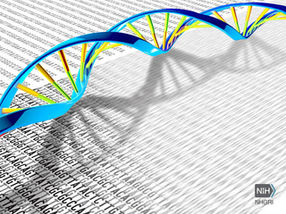 Genomic approaches give answers to undiagnosed primary immunodeficiency diseases