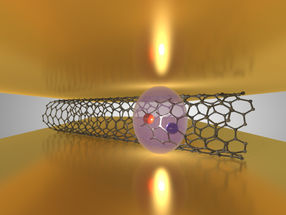Kohlenstoff-Nanoröhrchen koppeln Licht und Materie