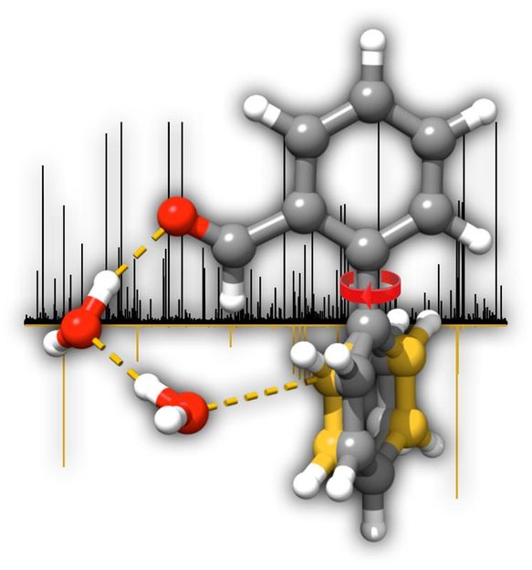 © S. R. Domingos et al.