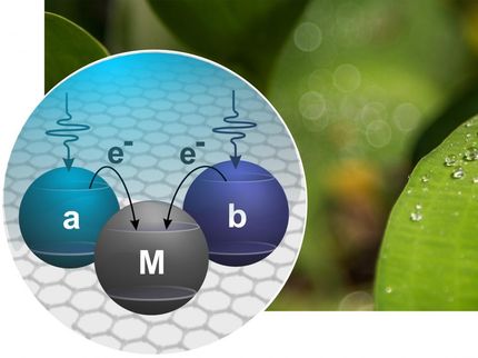 Physics, photosynthesis and solar cells