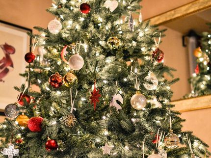 Pestizide im Weihnachtsbaum?
