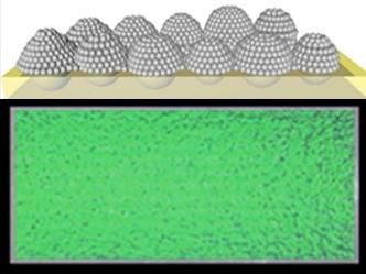 Mimicking bug eyes could brighten reflective signs and clothes