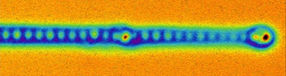 Forscher werfen erstmals einen Blick ins Auge von Majoranas