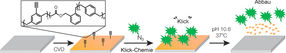 Sollbruchstellen im Rückgrat: Bioabbaubare Polymere durch chemische Gasphasenabscheidung