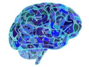 Forscher finden im Nervenwasser Frühzeichen für Alzheimer