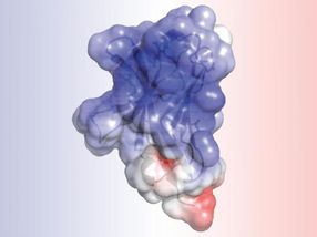 The molecular roots of Alzheimer's