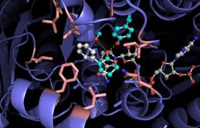Light powers new chemistry for old enzymes