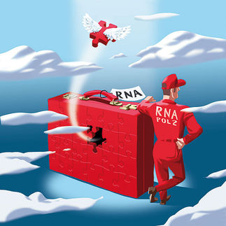 Was du heute kannst besorgen – Zwischenablage im Gehirn spart Zeit