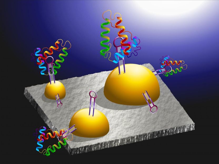 Micro/Bio/Nanofluidics Unit, OIST