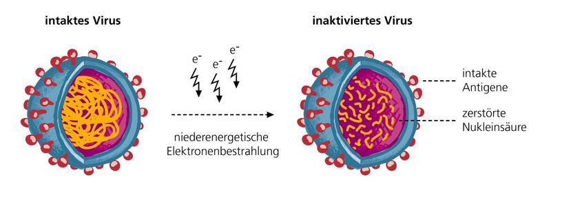 © Foto Fraunhofer IZI