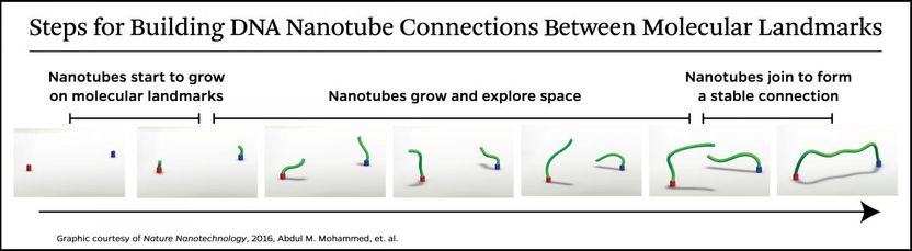 Nature Nanotechnology, 2016, Abdul M. Mohammed et alia