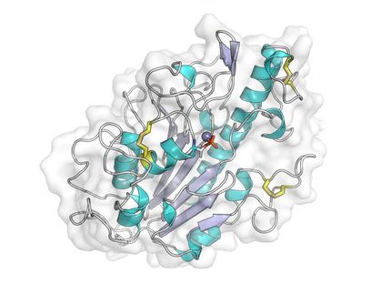 How bacteria resists 'last-resort' antibiotic