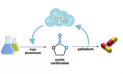 CO2, la piedra filosofal para obtener valiosos fármacos