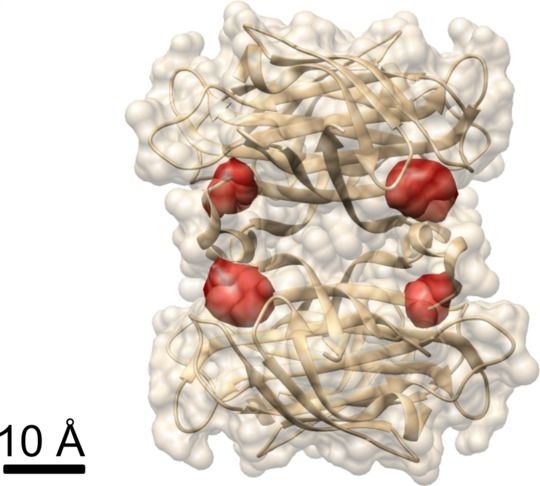 ©: MPI für die Physik des Lichts