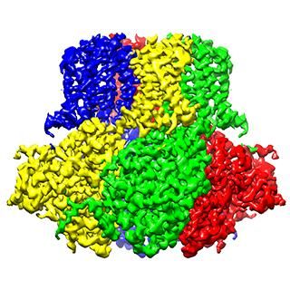 Laboratory of Molecular Neurobiology and Biophysics/The Rockefeller University