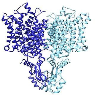 Laboratory of Molecular Neurobiology and Biophysics/The Rockefeller University