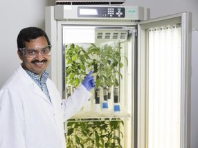 Nanoscience twist on centuries-old crop treatment is licensed