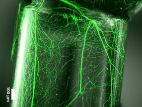 New discovery: Nanometric imprinting on fiber