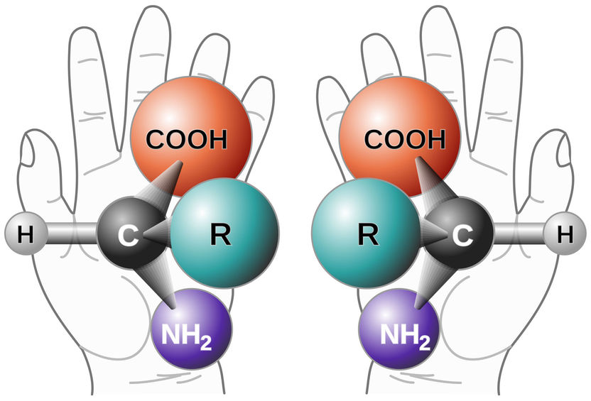 Copyright: Perhelion/Wikimedia Commons; https://de.wikipedia.org/wiki/Chiralit%C3%A4t_%28Chemie%29#/media/File:Chirality_with_hands.svg