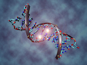 Epigenetik erklärt Vielfalt von Kinderkrebs