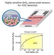 Highly sensitive gas sensors for volatile organic compound detection