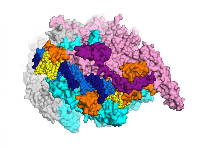 Laboratory of Molecular Biophysics at the Rockefeller University/eLife