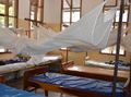 Malaria: Erbgut von zwei seltenen Erregern entschlüsselt