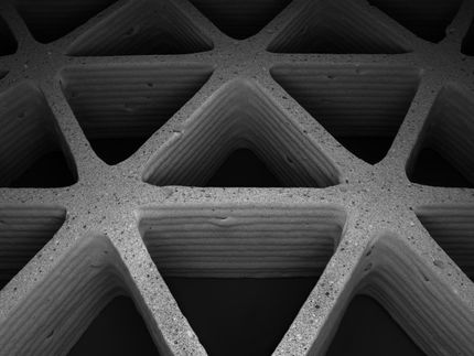Mimicking nature's cellular architectures via 3-D printing