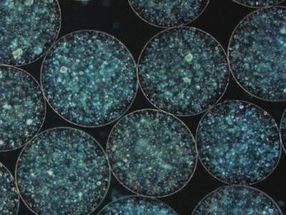 Researchers use tiny 3-D spheres to combat tuberculosis