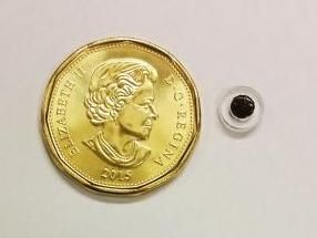 Tiny magnetic implant offers new drug delivery method