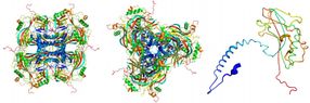 X-ray pulses reveal structure of viral cocoon