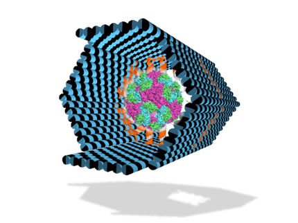 Nano-Container auf Proteinfang