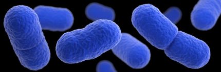Listeria may be serious miscarriage threat early in pregnancy