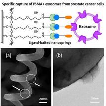 New approach for the capture of tumor-derived exosomes from a prostate cancer cell line