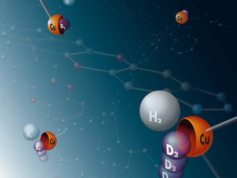 © Universität Leipzig / Thomas Häse