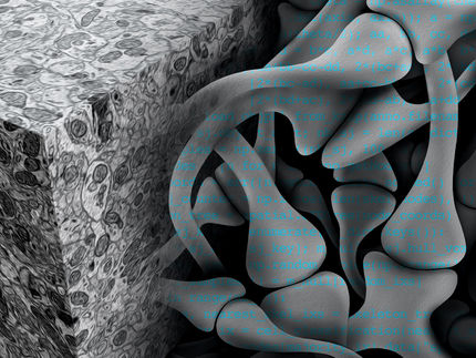 MPI für Neurobiologie